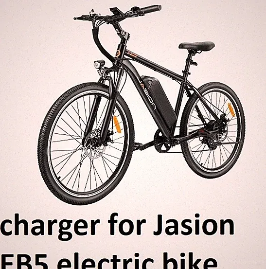 🔥AC adapter smart power supply Charger for Jasion EB5 Electric Bike